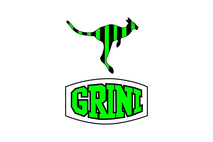 GRINI GN LTD